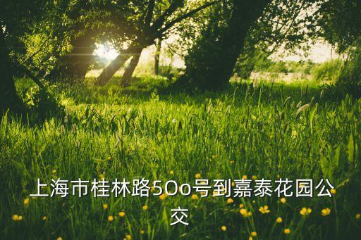  上海市桂林路5Oo號到嘉泰花園公交