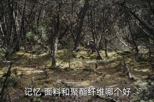  記憶 面料和聚酯纖維哪個(gè)好
