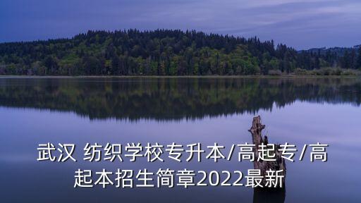  武漢 紡織學(xué)校專升本/高起專/高起本招生簡(jiǎn)章2022最新