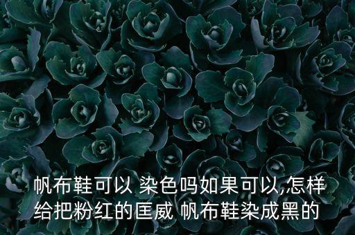  帆布鞋可以 染色嗎如果可以,怎樣給把粉紅的匡威 帆布鞋染成黑的