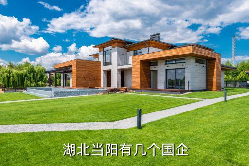  湖北當(dāng)陽有幾個國企