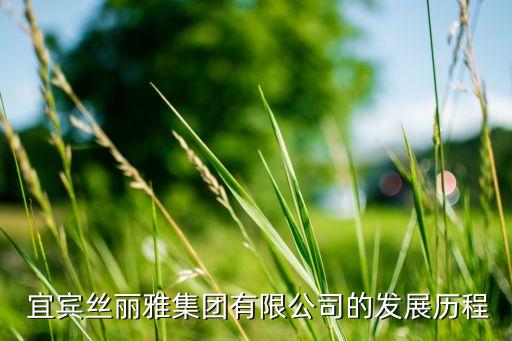  宜賓絲麗雅集團(tuán)有限公司的發(fā)展歷程
