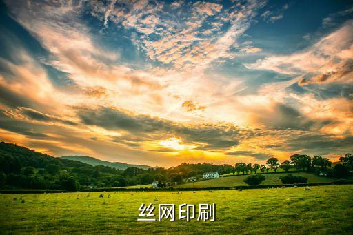 絲網(wǎng)印刷