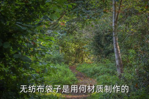 無紡布袋子是用何材質(zhì)制作的