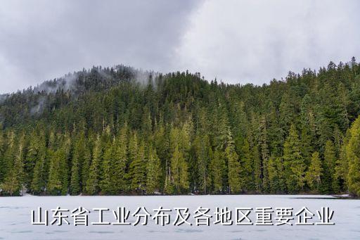 山東岱銀紡織集團(tuán)股份