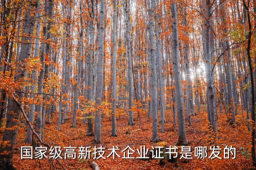 國家級高新技術企業(yè)證書是哪發(fā)的