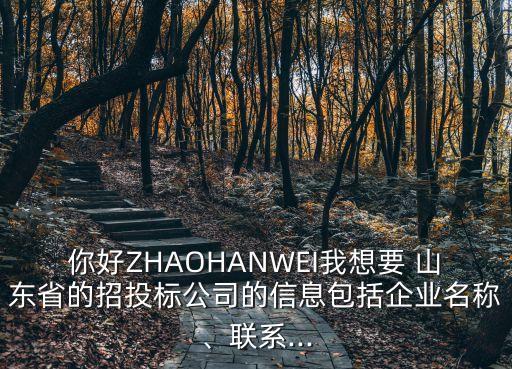 你好ZHAOHANWEI我想要 山東省的招投標(biāo)公司的信息包括企業(yè)名稱(chēng)、聯(lián)系...