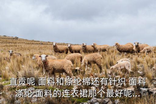 直貢呢 面料和滌綸棉還有針織 面料滌綸 面料的連衣裙那個(gè)最好呢...
