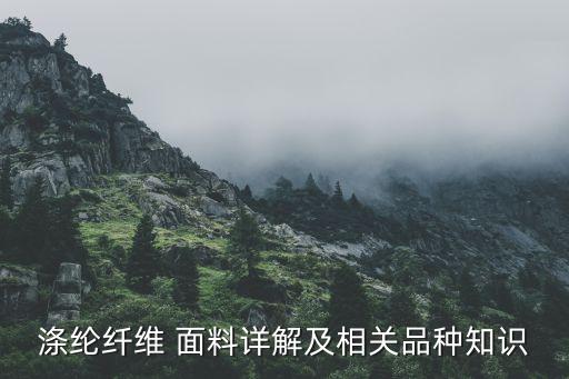 滌綸纖維 面料詳解及相關(guān)品種知識(shí)