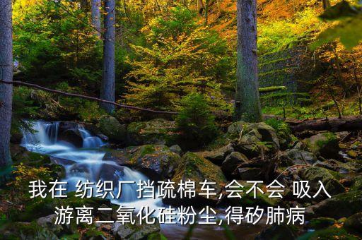 我在 紡織廠擋疏棉車,會不會 吸入游離二氧化硅粉塵,得矽肺病