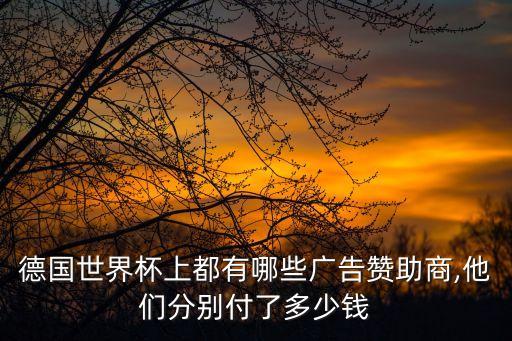 德國世界杯上都有哪些廣告贊助商,他們分別付了多少錢