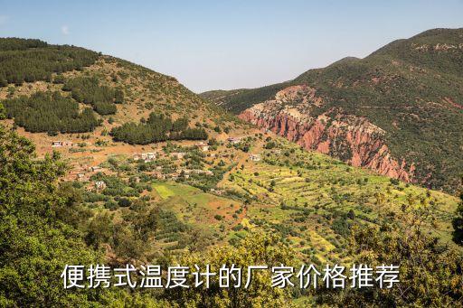 便攜式溫度計(jì)的廠家價(jià)格推薦
