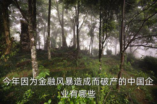 今年因?yàn)榻鹑陲L(fēng)暴造成而破產(chǎn)的中國企業(yè)有哪些