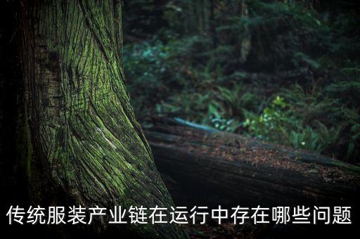 傳統(tǒng)服裝產(chǎn)業(yè)鏈在運行中存在哪些問題