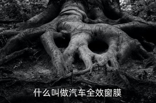 foil是什么意思 紡織,用foil當(dāng)昵稱是什么意思