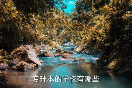 專升本的學校有哪些