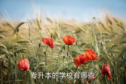 專升本的學(xué)校有哪些