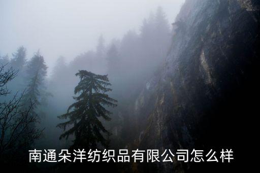  南通朵洋紡織品有限公司怎么樣