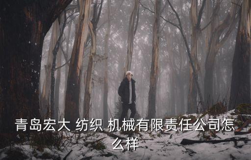 青島宏大 紡織 機械有限責任公司怎么樣