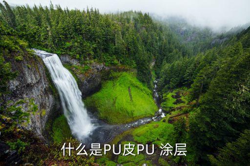 什么是PU皮PU 涂層