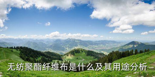 無紡聚酯纖維布是什么及其用途分析