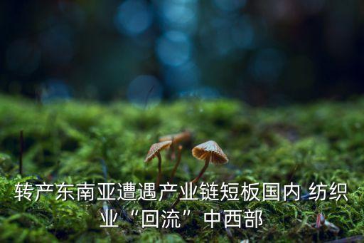 轉(zhuǎn)產(chǎn)東南亞遭遇產(chǎn)業(yè)鏈短板國內(nèi) 紡織業(yè)“回流”中西部