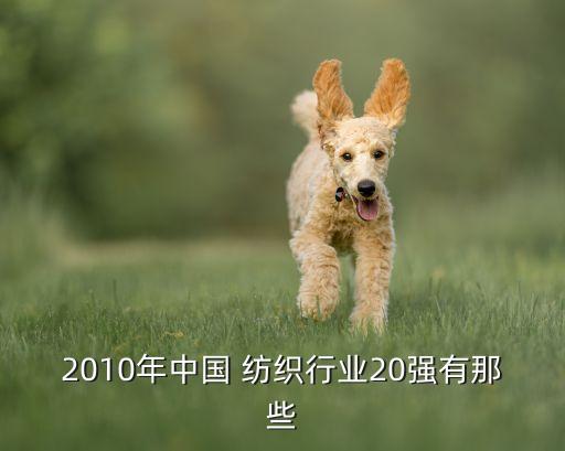 廣東省紡織股份股份