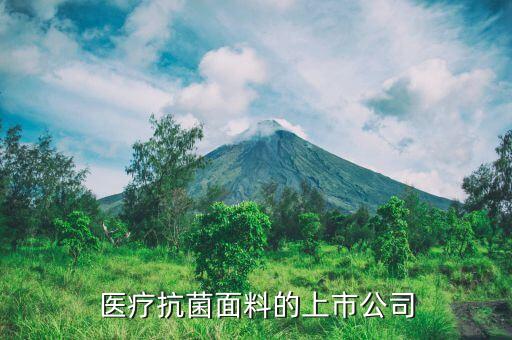 醫(yī)療抗菌面料的上市公司