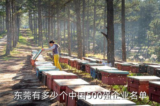  東莞有多少個(gè)中國(guó)500強(qiáng)企業(yè)名單