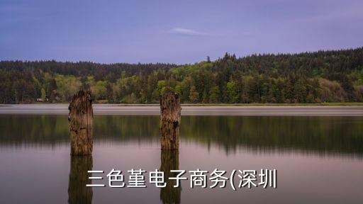 三色堇電子商務(深圳