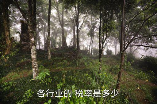 各行業(yè)的 稅率是多少