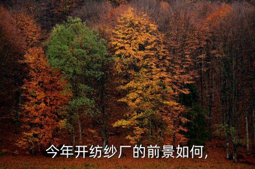 今年開紡紗廠的前景如何,