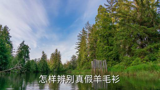 怎樣辨別真假羊毛衫