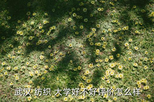  武漢 紡織 大學(xué)好不好評價(jià)怎么樣