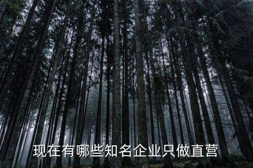 泉州晉江遠大織造有限公司,晉江華宇織造有限公司怎么樣