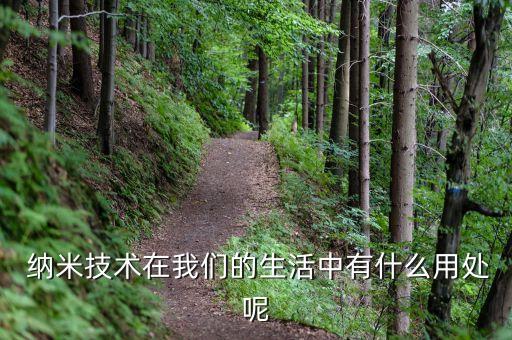  納米技術(shù)在我們的生活中有什么用處呢