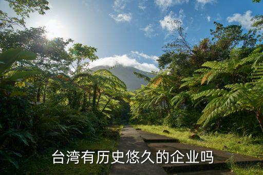  臺灣有歷史悠久的企業(yè)嗎