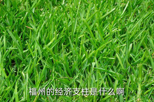 福州的經(jīng)濟(jì)支柱是什么啊