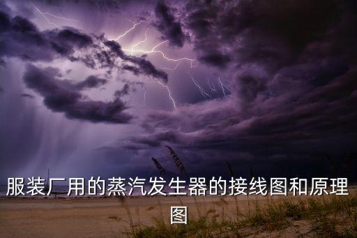 服裝廠用的蒸汽發(fā)生器的接線圖和原理圖