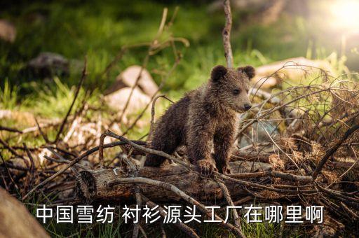 中國(guó)雪紡 襯衫源頭工廠在哪里啊