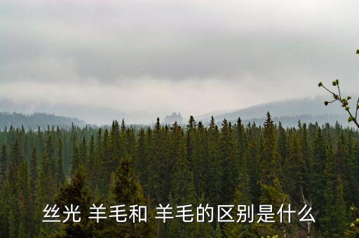 絲光 羊毛和 羊毛的區(qū)別是什么