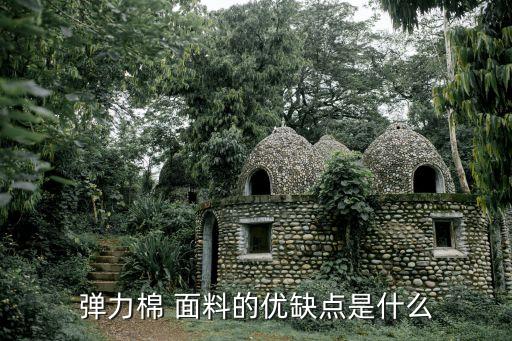 彈力棉 面料的優(yōu)缺點(diǎn)是什么