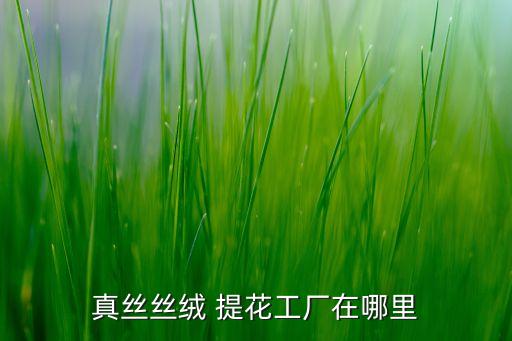 真絲絲絨 提花工廠在哪里