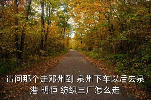 請(qǐng)問(wèn)那個(gè)走鄧州到 泉州下車(chē)以后去泉港 明恒 紡織三廠怎么走