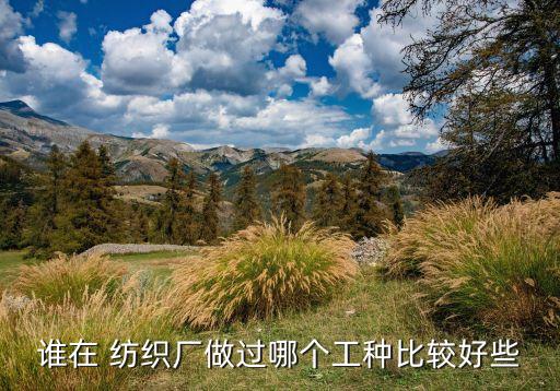 誰在 紡織廠做過哪個工種比較好些