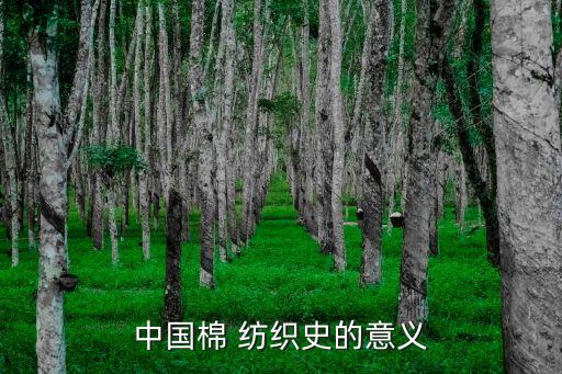 紡織生產(chǎn)的作用和地位,消費(fèi)在社會在生產(chǎn)中的地位和作用如何?