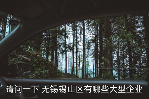 請(qǐng)問一下 無錫錫山區(qū)有哪些大型企業(yè)
