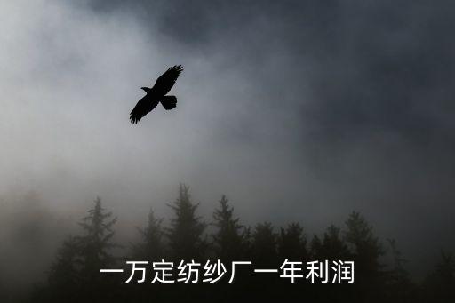 一萬定紡紗廠一年利潤
