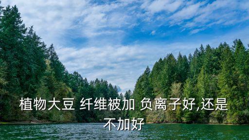 植物大豆 纖維被加 負(fù)離子好,還是不加好