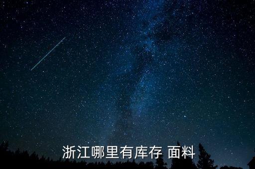  浙江哪里有庫存 面料